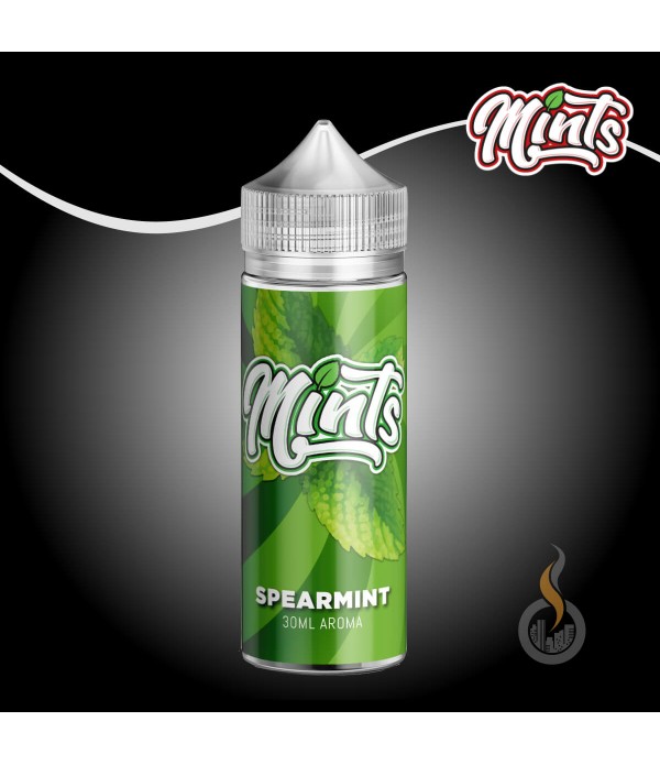 MINTS Spearmint Aroma - 30 ml