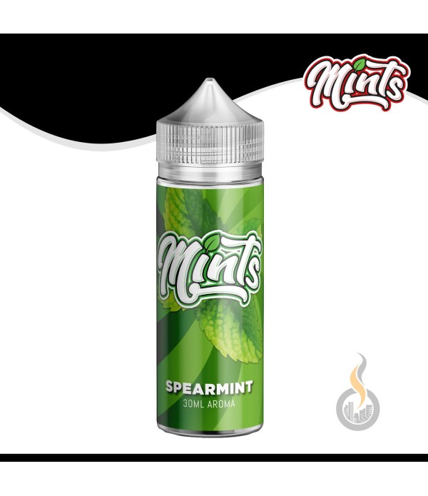 MINTS Spearmint Aroma - 30 ml