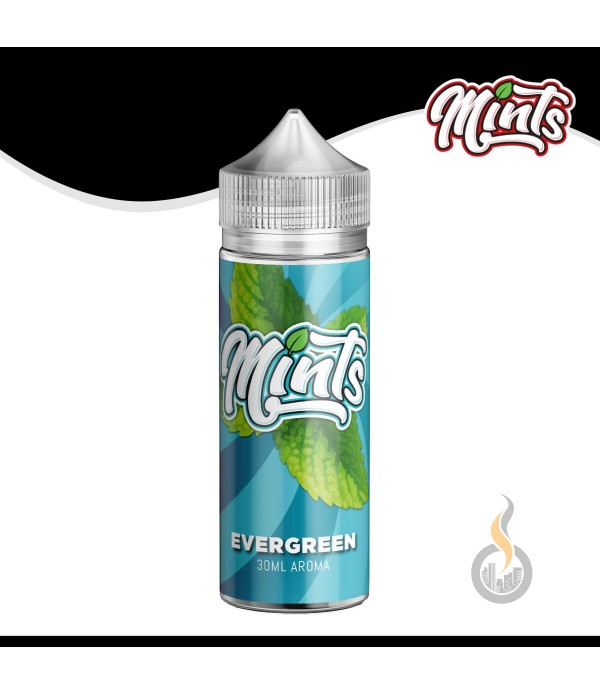 MINTS Evergreen Aroma - 30 ml