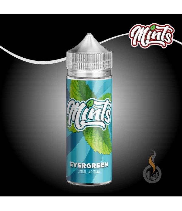 MINTS Evergreen Aroma - 30 ml
