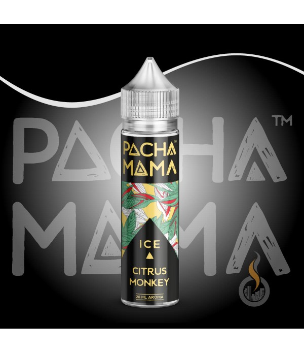 PACHA MAMA Citrus Monkey Ice Aroma - 20 ml